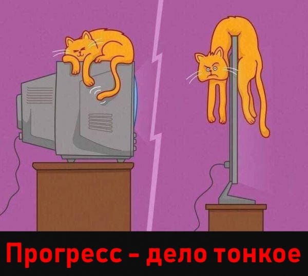 CGITEMS_Cat.jpg