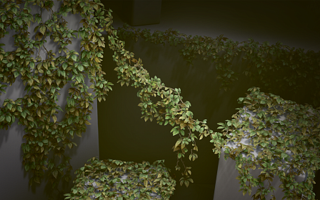 Lush Ivy