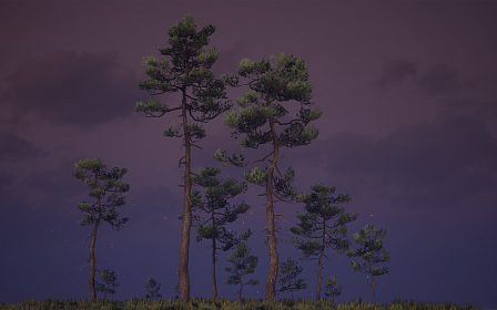 Pine Trees